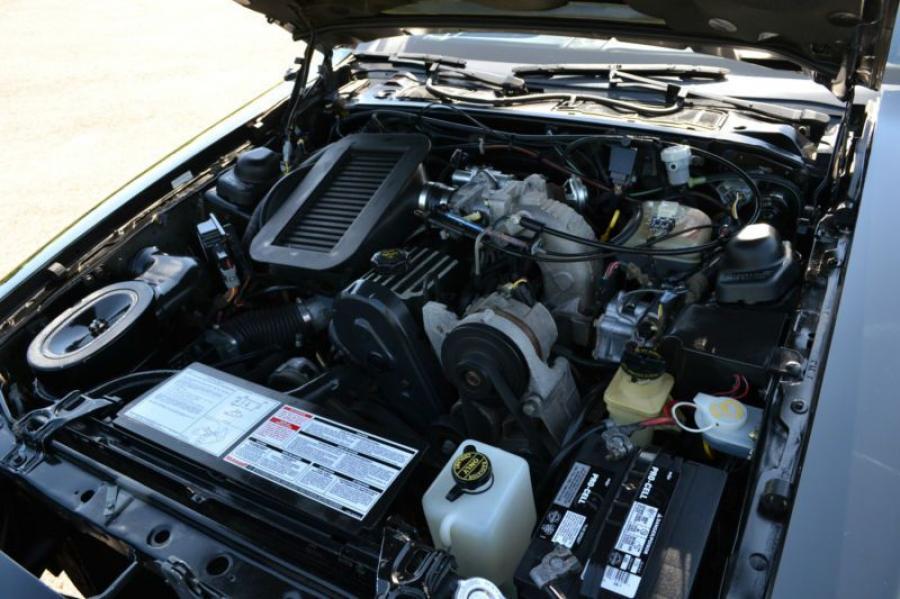  Ford Thunderbird Turbo Coupe 1987 года  (фото 6 из 17)